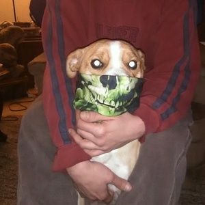 Meet your Posher, Thomas